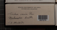 Image Associated With the Occurence